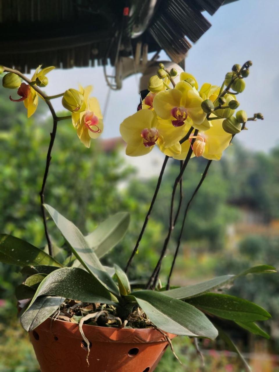 Byve Garden Villa Hanoi Kültér fotó