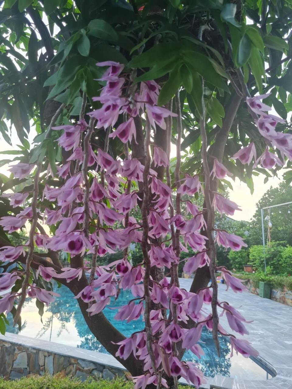 Byve Garden Villa Hanoi Kültér fotó